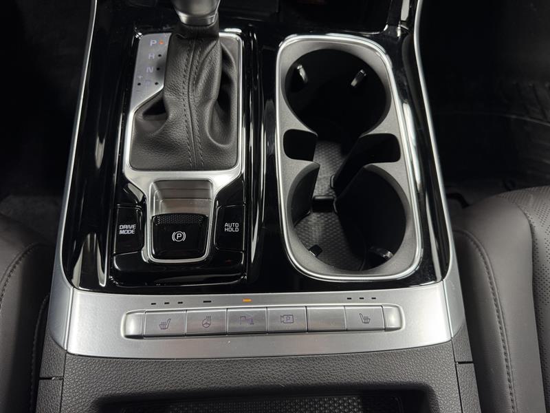 kia Carnival 2024 - 28