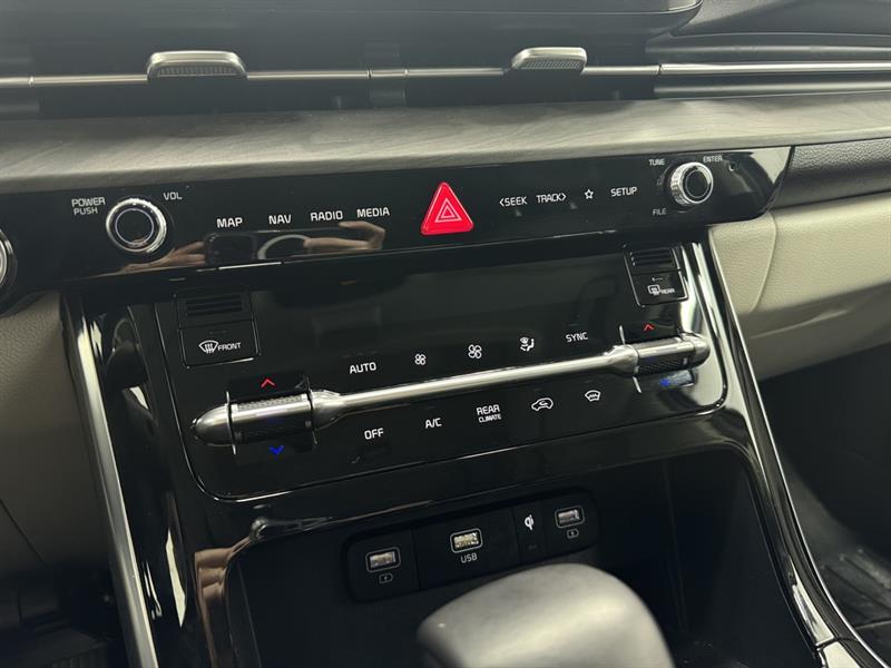 kia Carnival 2024 - 29