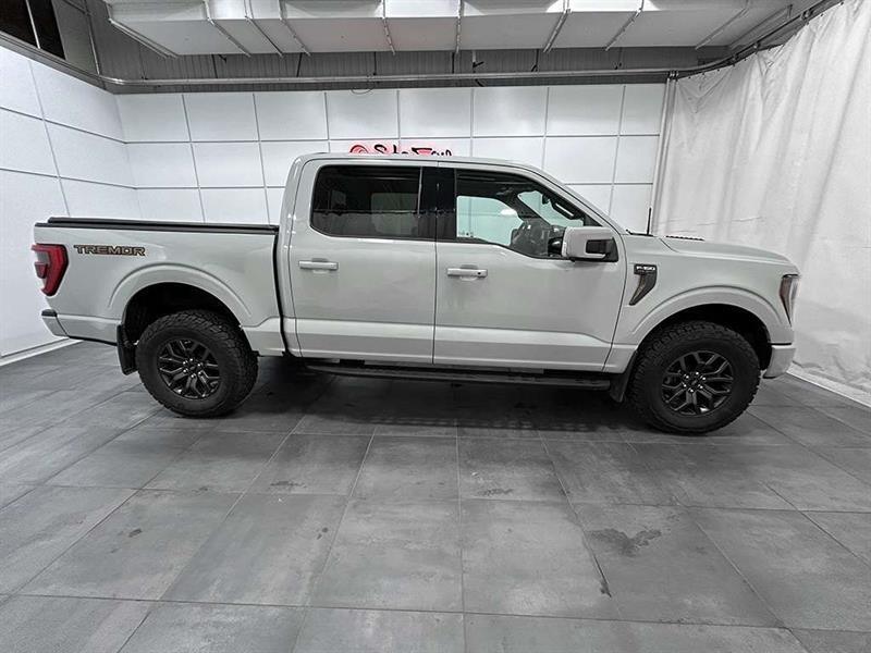 ford F-150 2023 - 10