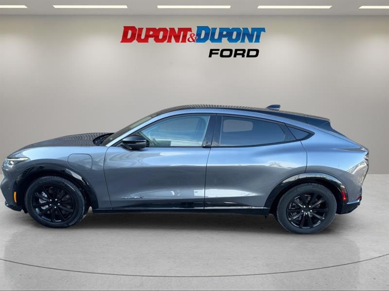 ford Mustang Mach-E 2023 - 2