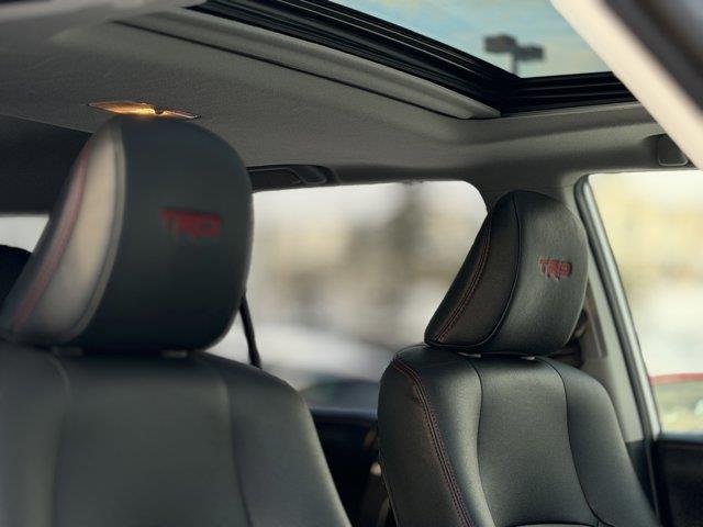 toyota 4Runner 2019 - 12