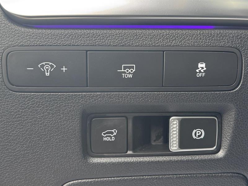 hyundai Palisade 2023 - 13