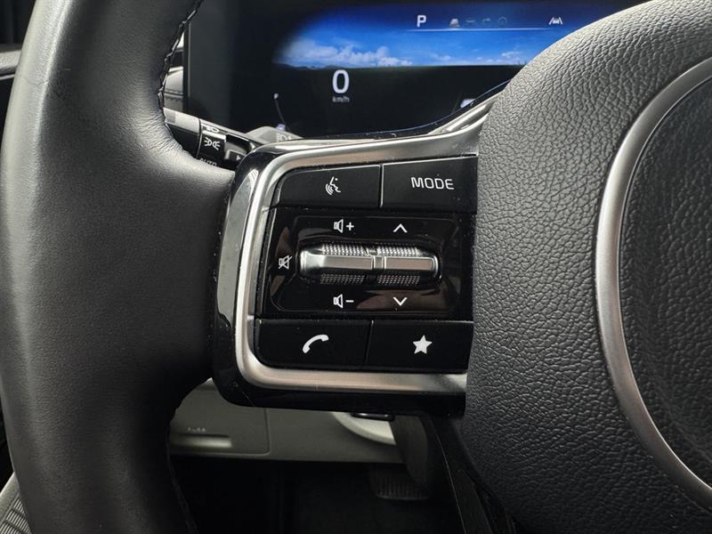 kia Carnival 2024 - 22