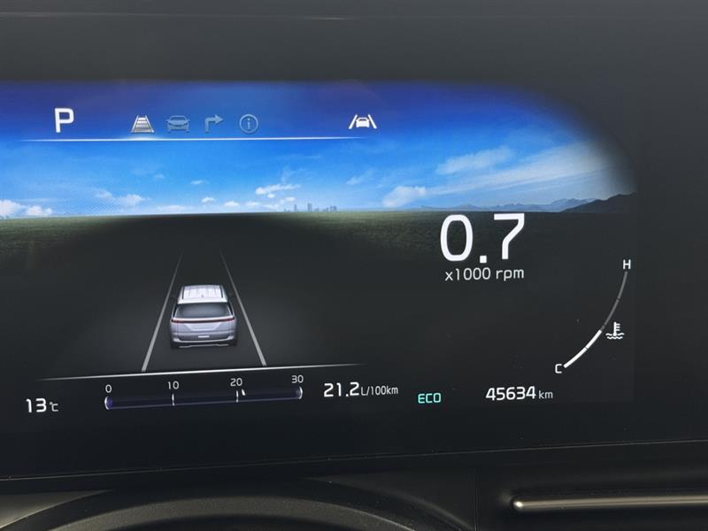 kia Carnival 2024 - 24