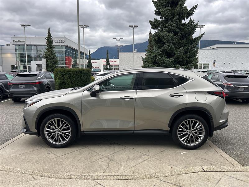 lexus NX 2024 - 2