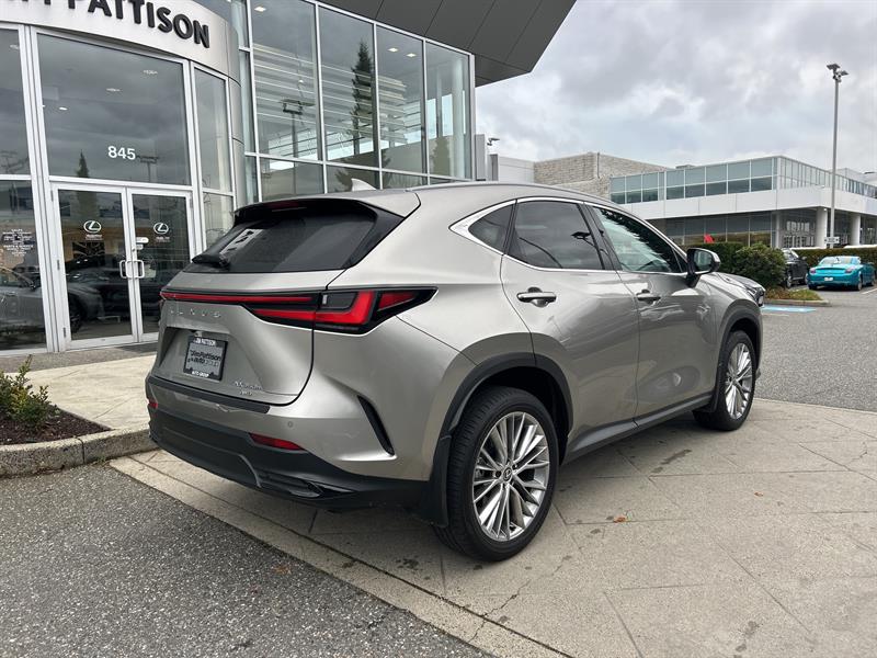 lexus NX 2024 - 5