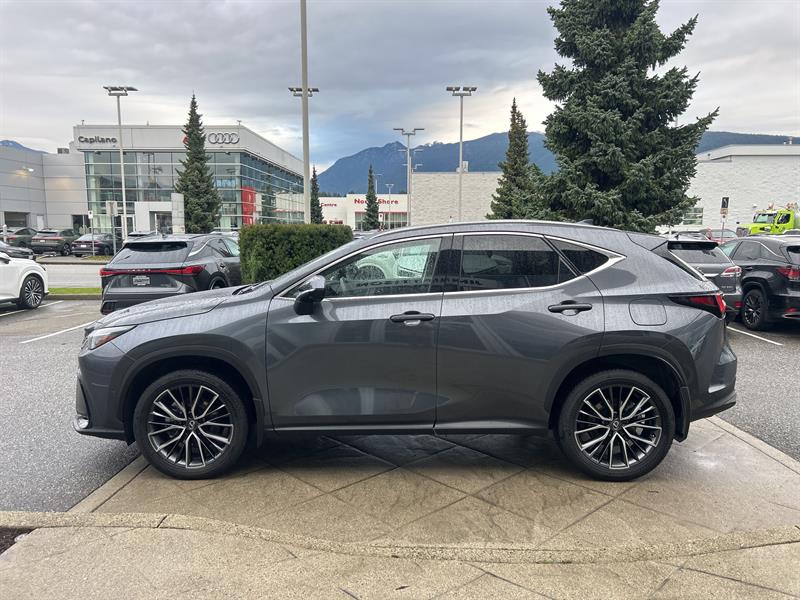 lexus NX 450H+ 2025 - 2
