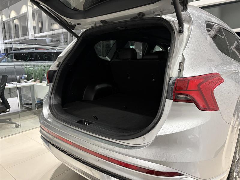 hyundai Santa Fe 2022 - 17