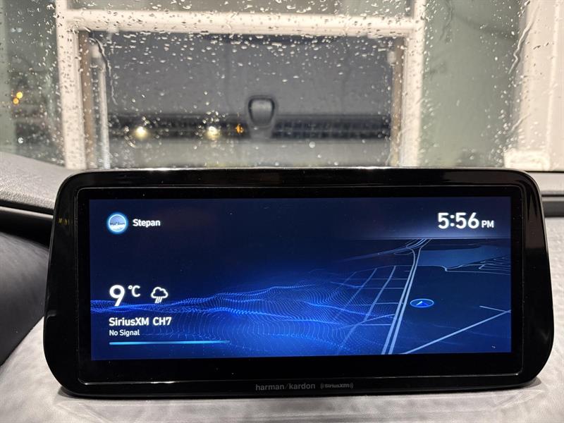 hyundai Santa Fe 2022 - 19