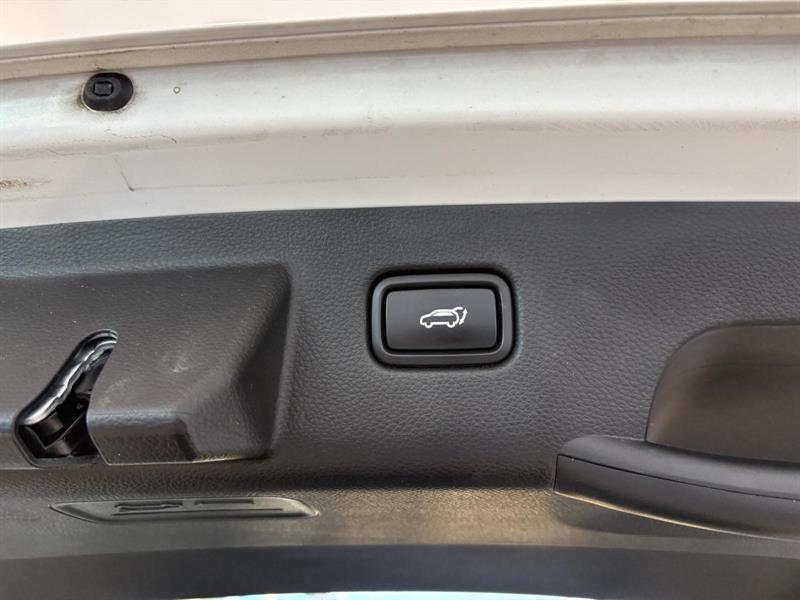 kia Seltos 2024 - 18