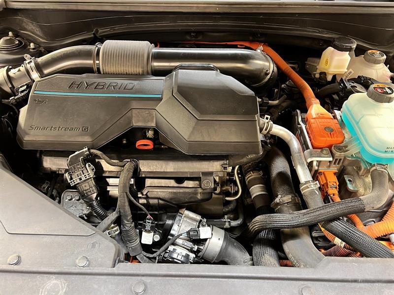 kia Sportage 2023 - 12