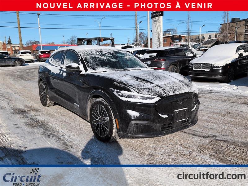 ford Mustang Mach-E 2025 - 3