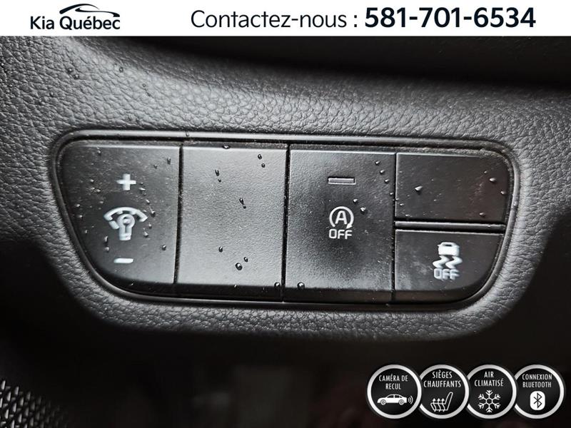 kia Seltos 2021 - 15