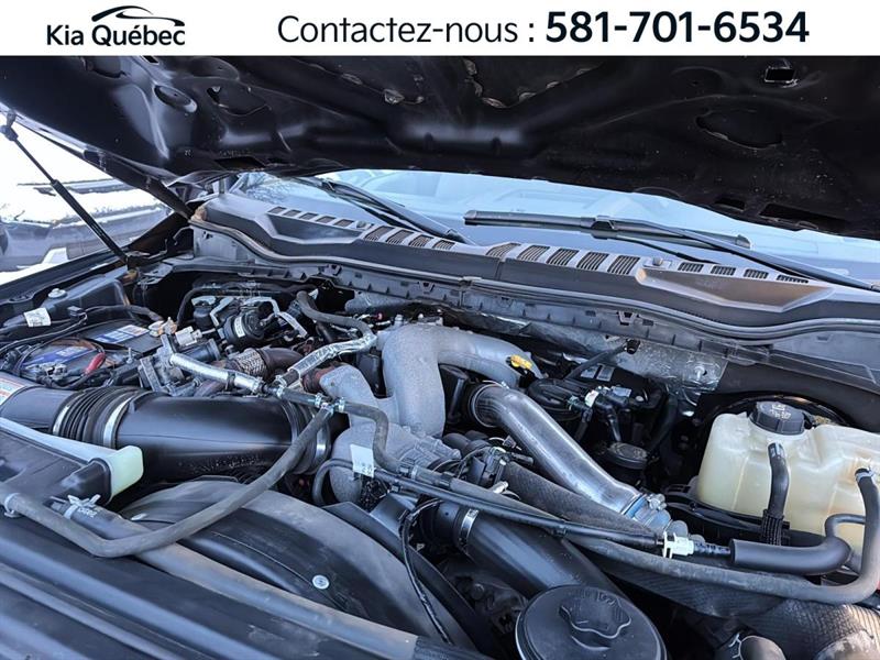 ford Super Duty F-250 SRW 2022 - 7