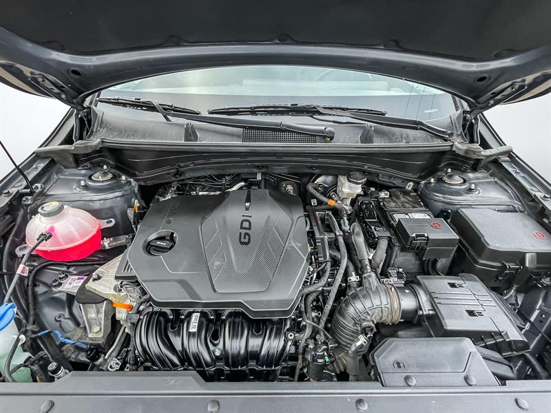 kia Sportage 2024 - 28