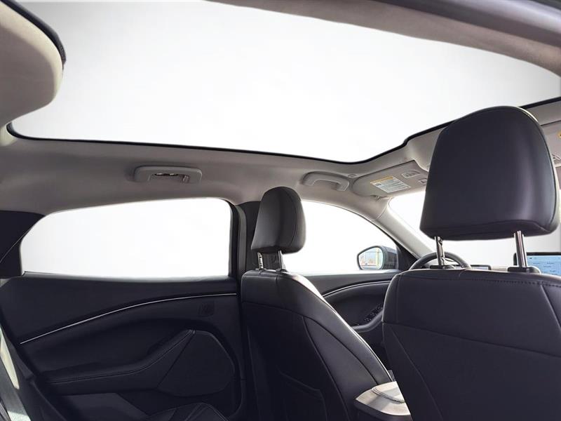 ford Mustang Mach-E 2025 - 10