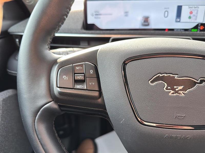 ford Mustang Mach-E 2025 - 17