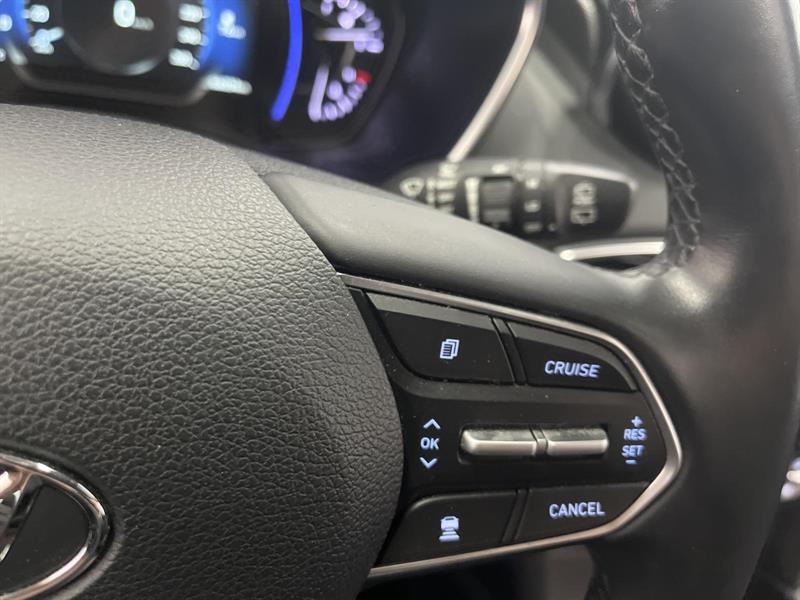 hyundai Santa Fe 2020 - 17