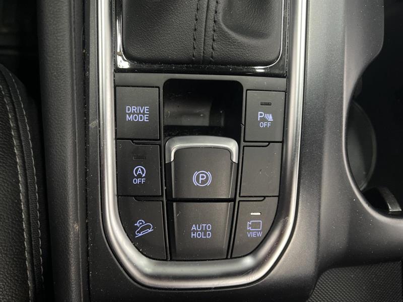 hyundai Santa Fe 2020 - 18