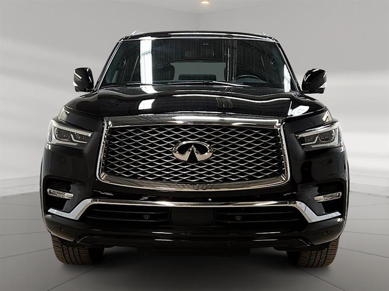 infiniti QX80 2024 - 2