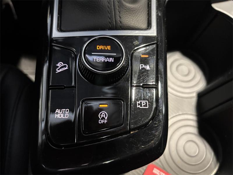 kia Sportage 2024 - 24