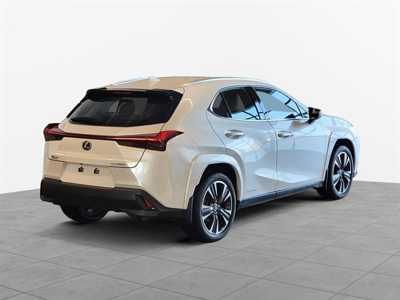 lexus UX 250H 2022 - 18
