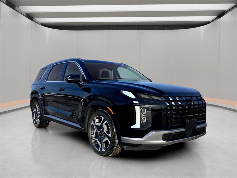 hyundai Palisade 2023 - 7