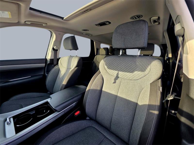 hyundai Palisade 2023 - 15