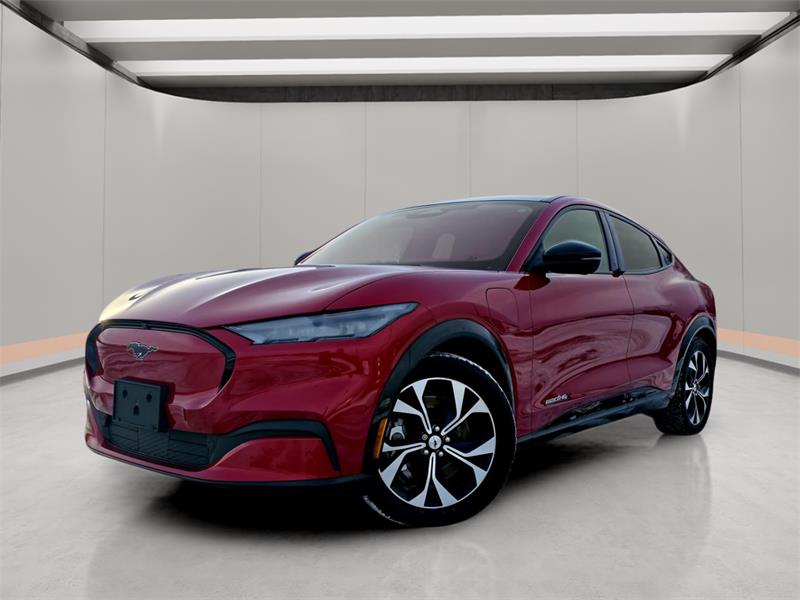 ford Mustang Mach-E 2022