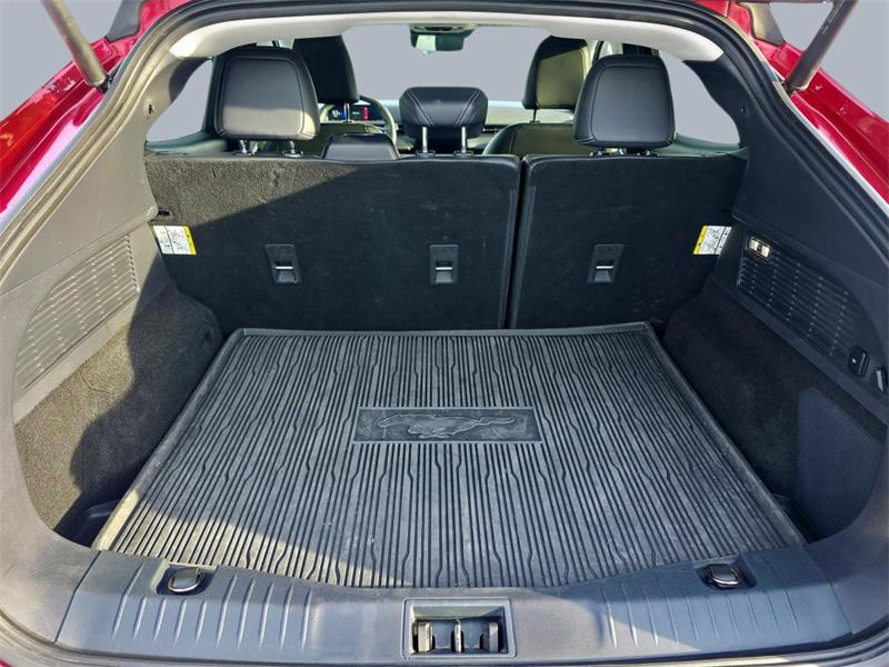 ford Mustang Mach-E 2022 - 9