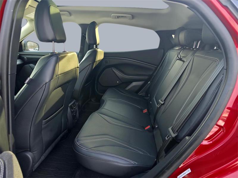 ford Mustang Mach-E 2022 - 11