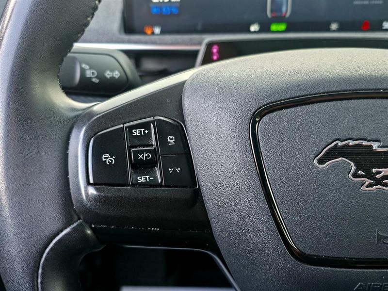 ford Mustang Mach-E 2022 - 17