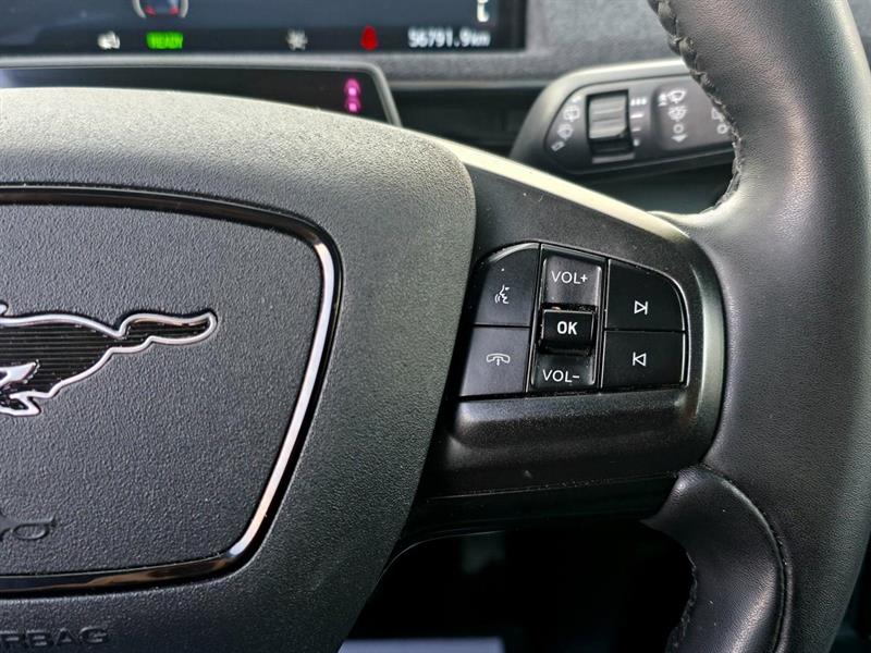 ford Mustang Mach-E 2022 - 18