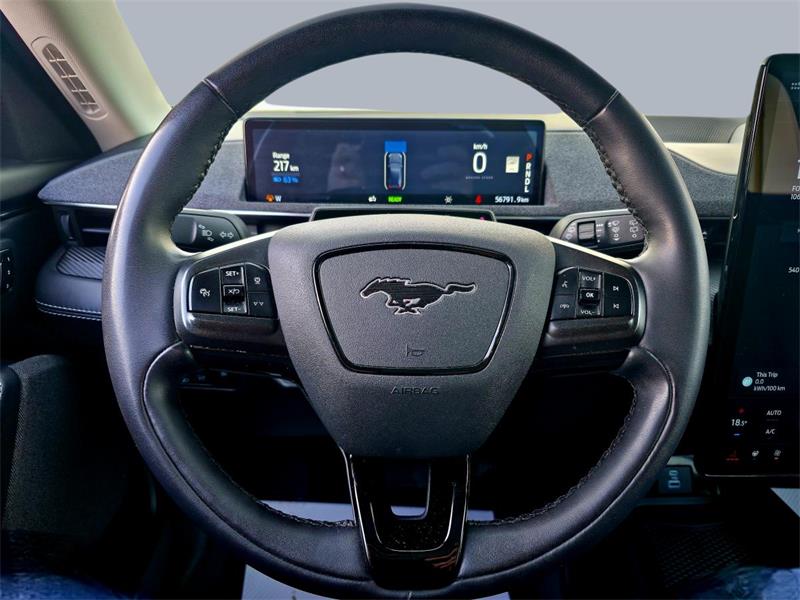 ford Mustang Mach-E 2022 - 19