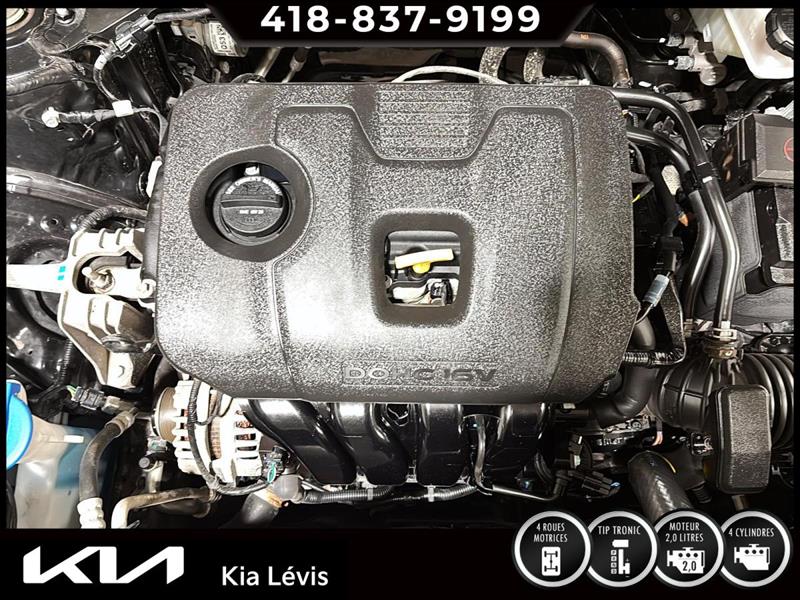 kia Seltos 2025 - 16