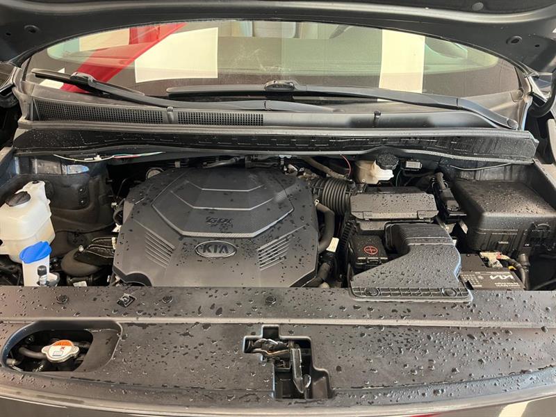 kia Sedona 2019 - 20