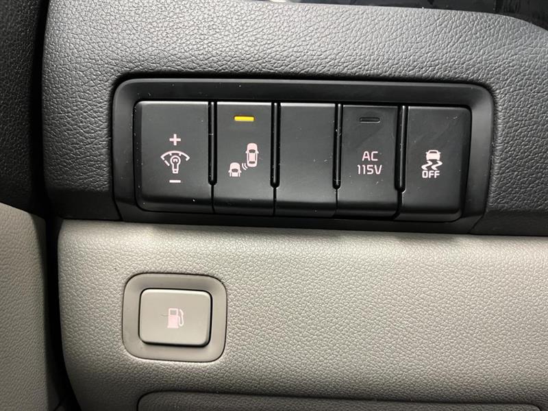 kia Sedona 2019 - 30