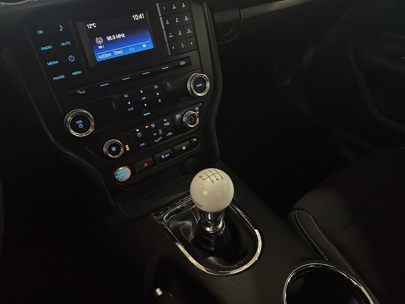 ford Mustang 2015 - 14