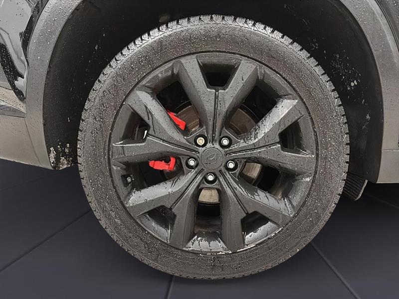 hyundai Palisade 2023 - 31