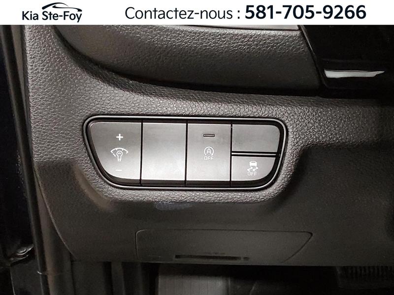 kia Seltos 2024 - 22