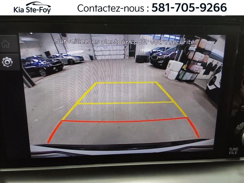 kia Seltos 2024 - 17