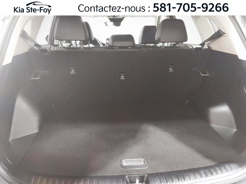 kia Seltos 2022 - 26