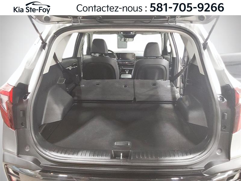 kia Seltos 2024 - 25