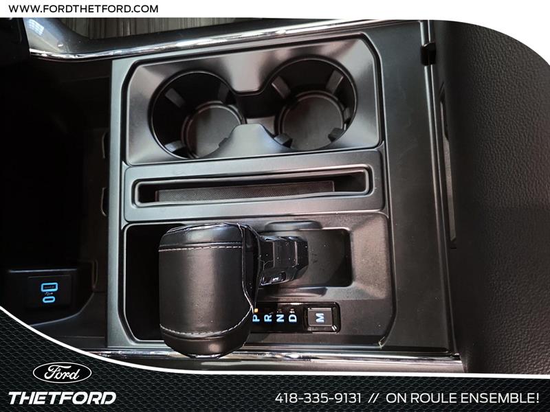 ford F-150 2021 - 14