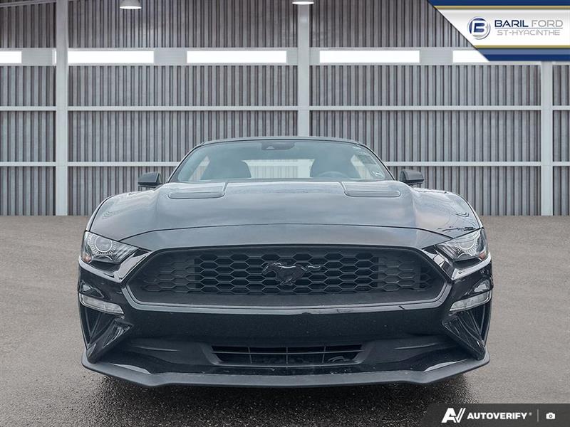 ford Mustang 2022 - 2