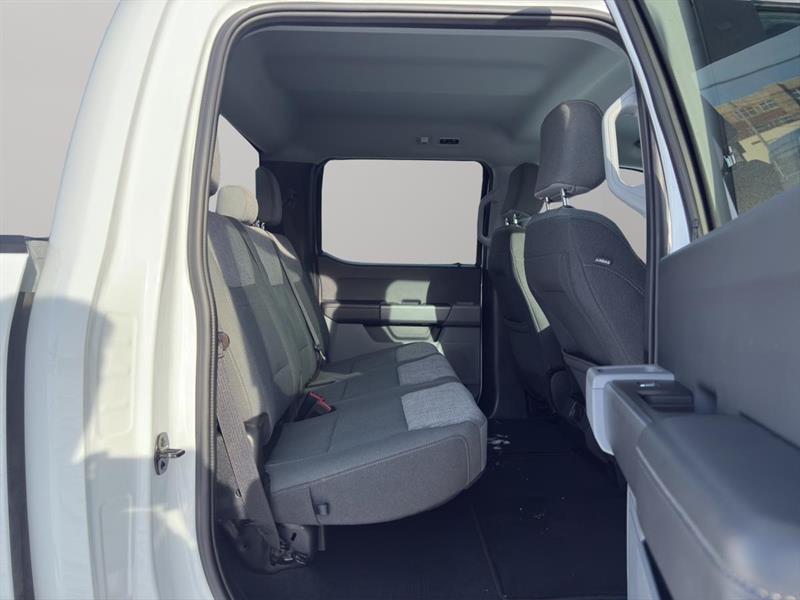 ford F-150 2023 - 14