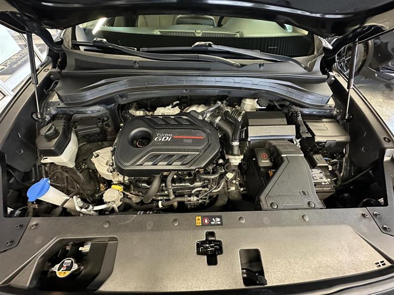 hyundai Santa Fe 2020 - 10