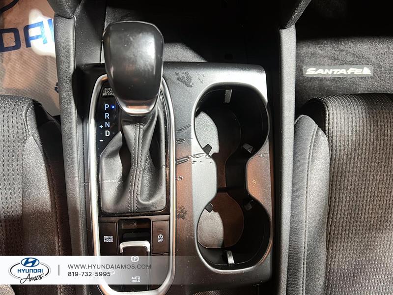 hyundai Santa Fe 2020 - 13