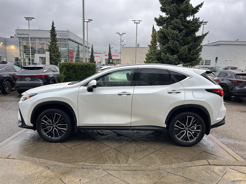 lexus NX 2024 - 2