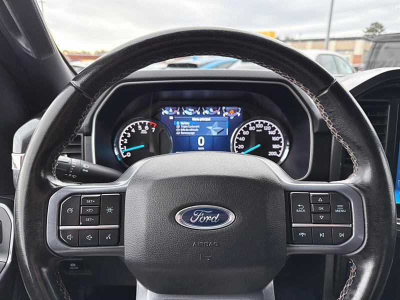 ford F-150 2023 - 13